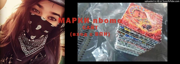 хмурый Аркадак