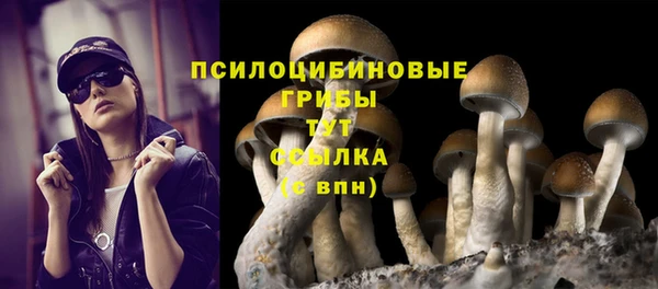 дживик Арсеньев