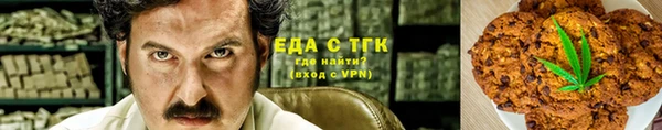 хмурый Аркадак