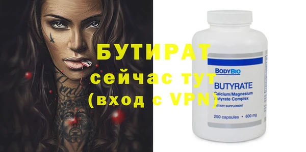 хмурый Аркадак