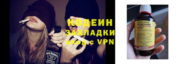 хмурый Аркадак
