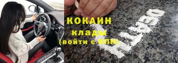 хмурый Аркадак