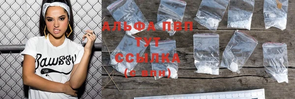 дживик Арсеньев
