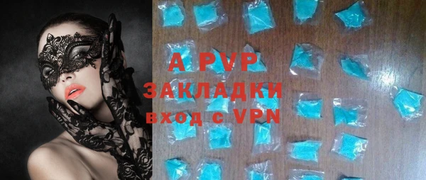 хмурый Аркадак