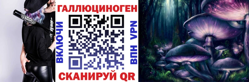 Псилоцибиновые грибы Psilocybe  где найти наркотики  Камбарка 