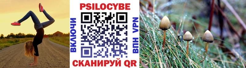 Псилоцибиновые грибы MAGIC MUSHROOMS Камбарка